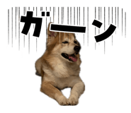 849796949