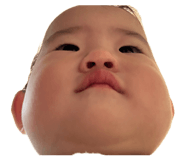 849797373