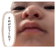 849815571