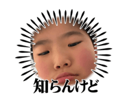 849816234
