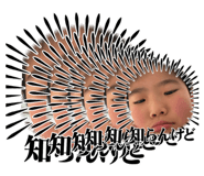 849816235