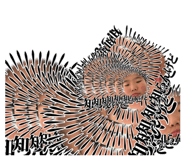 849816236