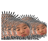 849816238