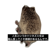 849816745
