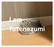 849816748