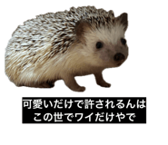 849816753