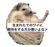 849816755