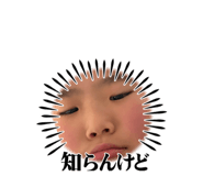 849817317