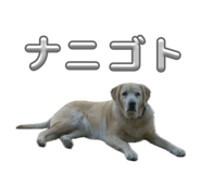 849818028