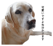 849818036