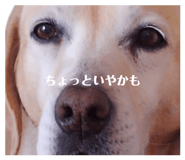 849818037