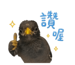 849829623