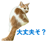 849829796