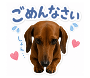 849846404