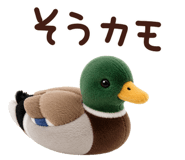 849846585