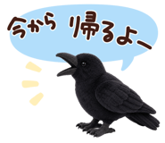 849846606