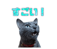 849847028