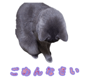 849847032
