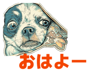 849849999