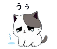 849852078