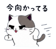 849852087