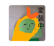 849853262