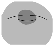 849853960