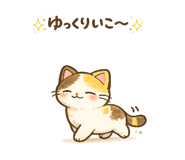849855211