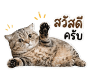 849863778