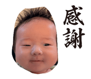 849874628