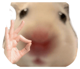 849874905