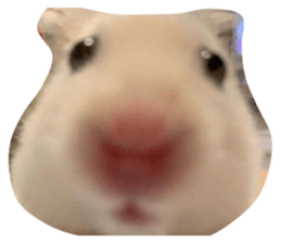 849874912