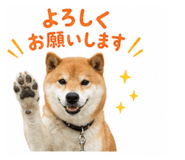 849876348