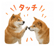849876354