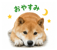 849876357