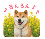 849876358