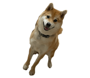 849876770