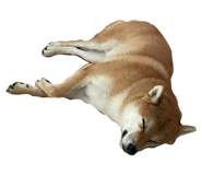 849876771