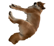 849876772