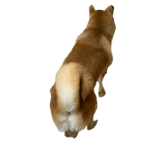 849876774
