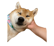 849876775