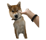 849876776
