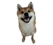 849876777