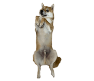 849876779