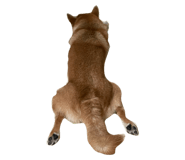 849876781