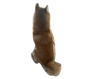 849876790