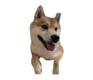 849876791