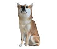 849876797