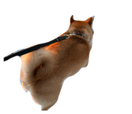 849876799
