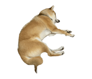 849876805